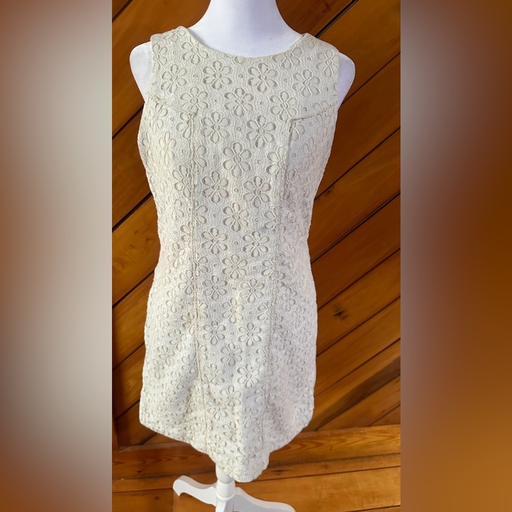 Cream daisy dress